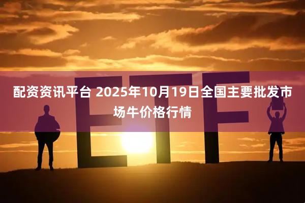 配资资讯平台 2025年10月19日全国主要批发市场牛价格行情