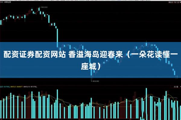 配资证券配资网站 香溢海岛迎春来(一朵花读懂一座城)