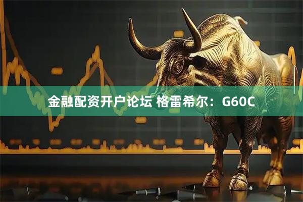 金融配资开户论坛 格雷希尔：G60C